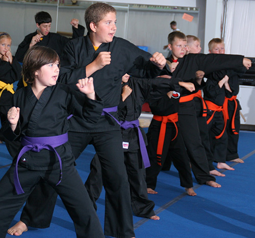 Kenpo Karate Training EOUA Blog